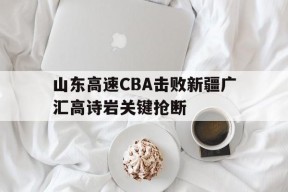 山东高速CBA击败新疆广汇高诗岩关键抢断