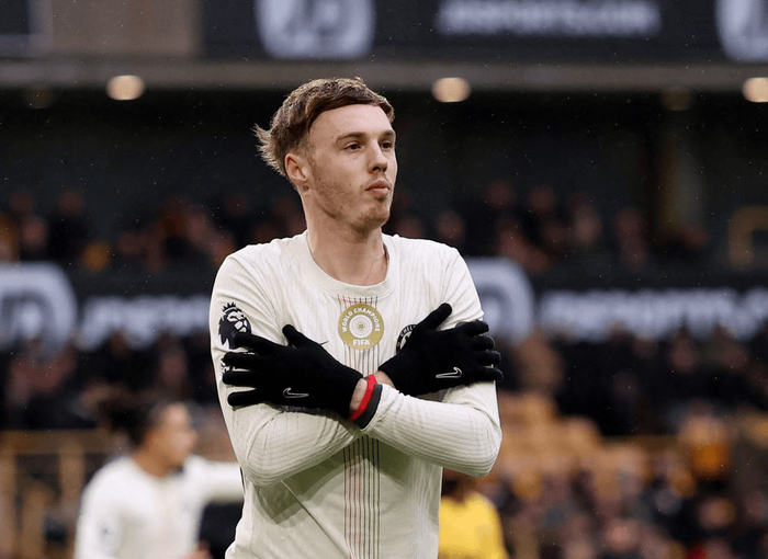 关于切尔西英超击败狼队帕尔默远射命中的信息